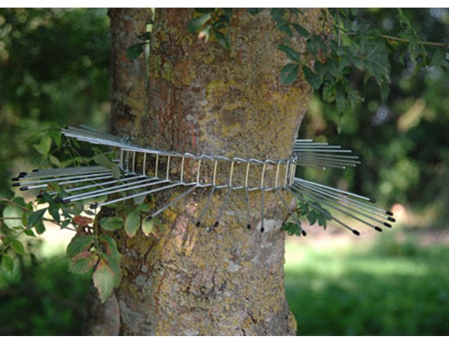 Collier stop minou - 70 cm